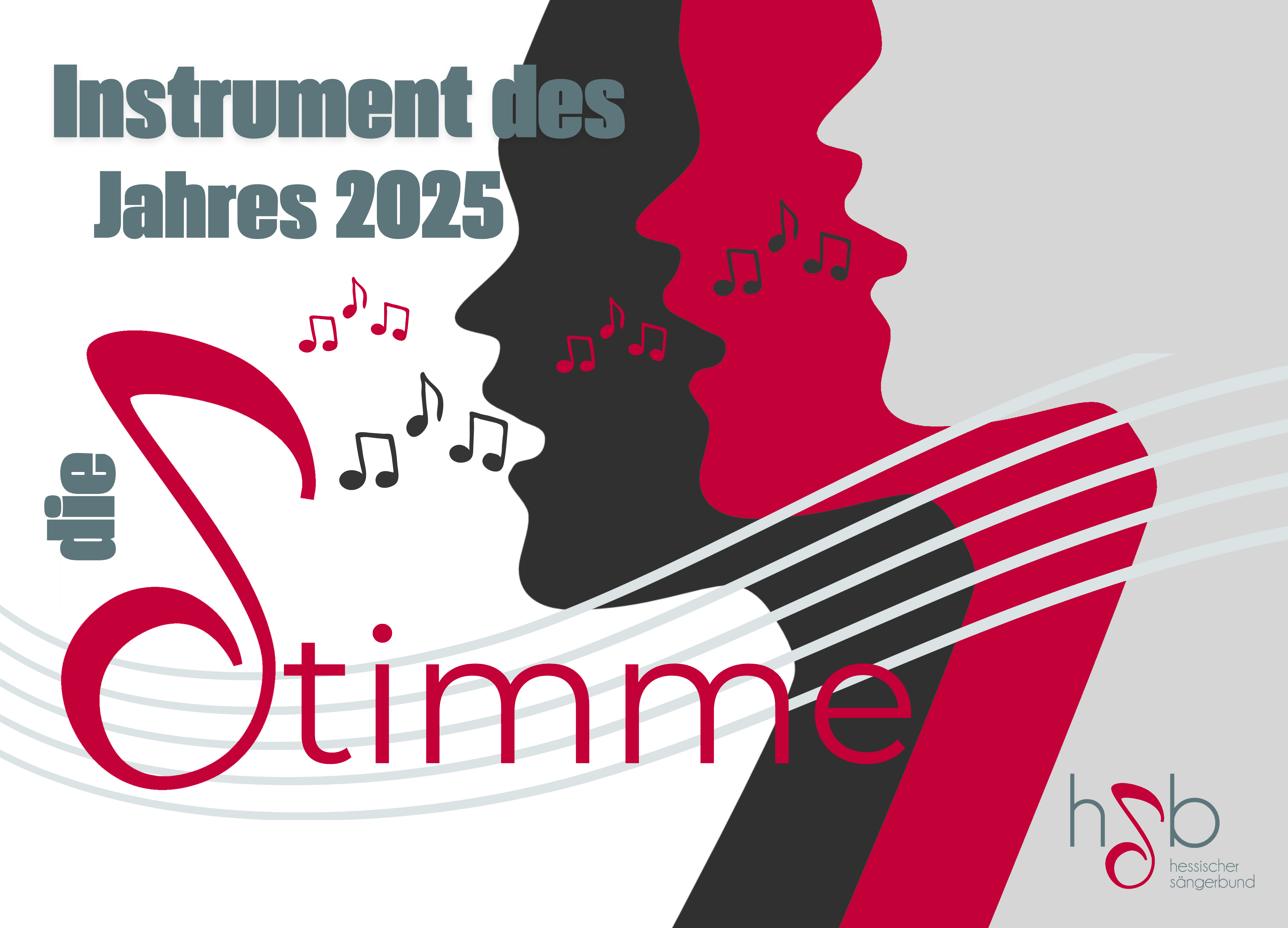 Die Stimme – Instrument des Jahres 2025